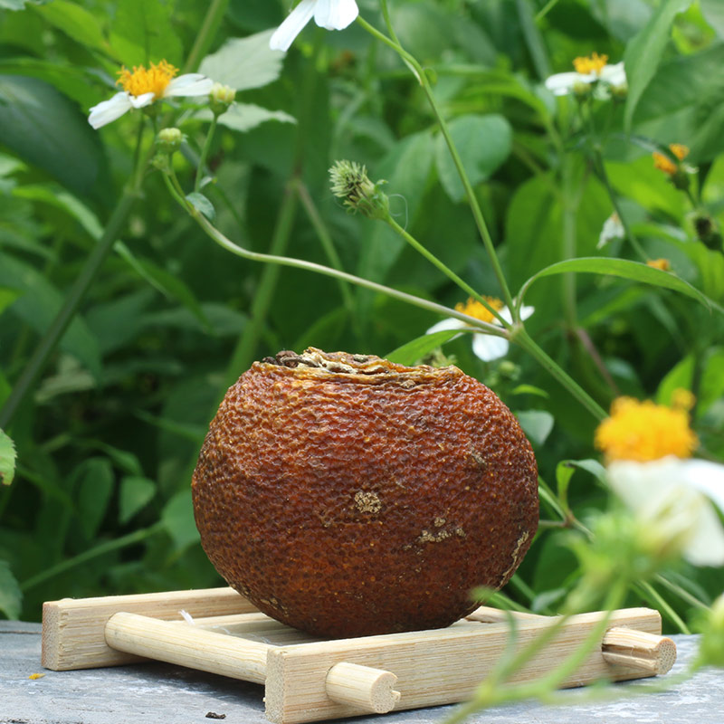 2016高山柑普生茶350克鐵罐裝